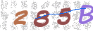 Code Anti-spam